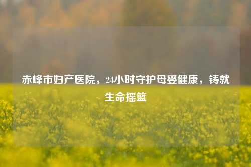 赤峰市妇产医院，24小时守护母婴健康，铸就生命摇篮