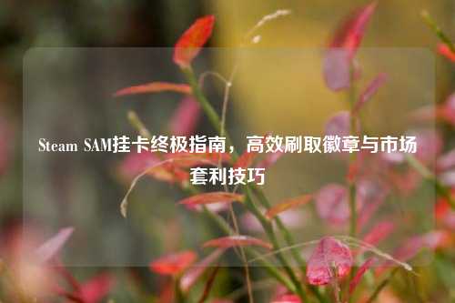 Steam SAM挂卡终极指南，高效刷取徽章与市场套利技巧