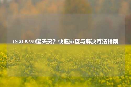 CSGO WASD键失灵？快速排查与解决 *** 指南
