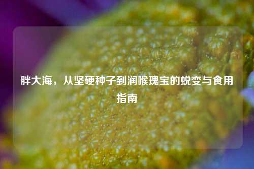 胖大海，从坚硬种子到润喉瑰宝的蜕变与食用指南