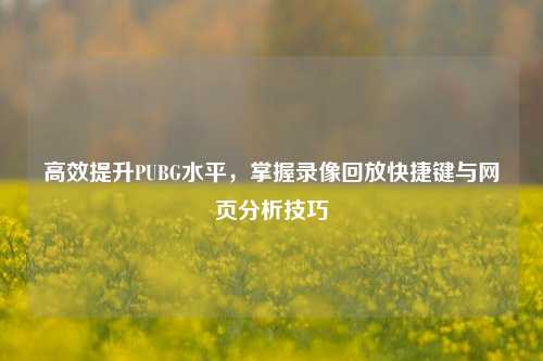 高效提升PUBG水平，掌握录像回放快捷键与网页分析技巧