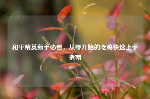 和平精英新手必看，从零开始的吃鸡快速上手指南
