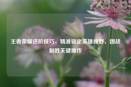 王者荣耀进阶技巧，精准锁定英雄视野，团战制胜关键操作