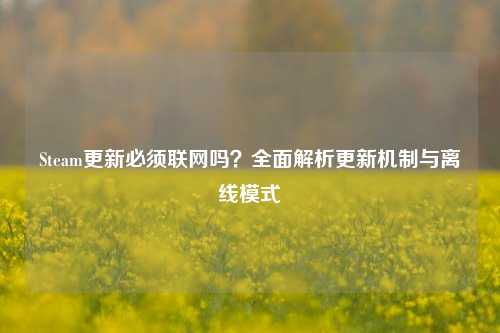 Steam更新必须联网吗？全面解析更新机制与离线模式