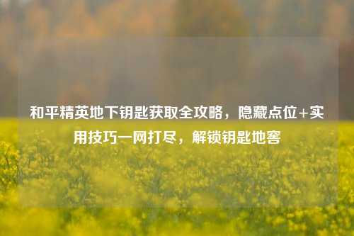 和平精英地下钥匙获取全攻略，隐藏点位+实用技巧一网打尽，解锁钥匙地窖