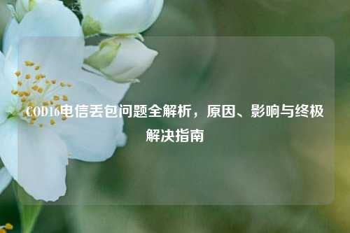 COD16电信丢包问题全解析，原因、影响与终极解决指南