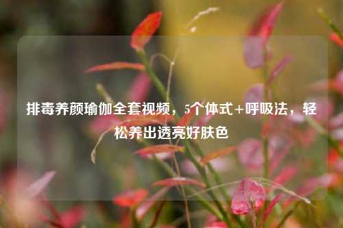 排毒养颜瑜伽 *** 视频，5个体式+呼吸法，轻松养出透亮好肤色