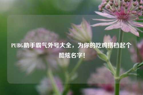 PUBG助手霸气外号大全，为你的吃鸡搭档起个酷炫名字！