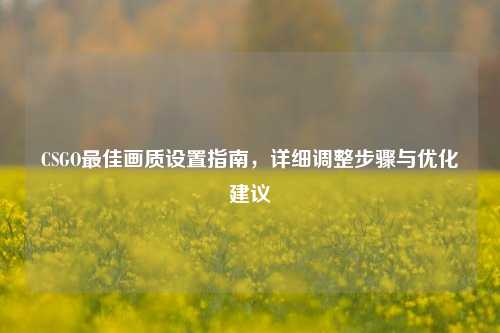 CSGO更佳画质设置指南，详细调整步骤与优化建议