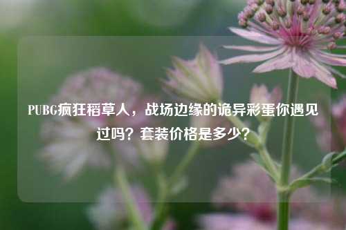 PUBG疯狂稻草人，战场边缘的诡异彩蛋你遇见过吗？套装价格是多少？