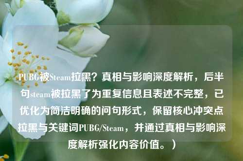 PUBG被Steam拉黑？真相与影响深度解析，后半句steam被拉黑了为重复信息且表述不完整，已优化为简洁明确的问句形式，保留核心冲突点拉黑与关键词PUBG/Steam，并通过真相与影响深度解析强化内容价值。）