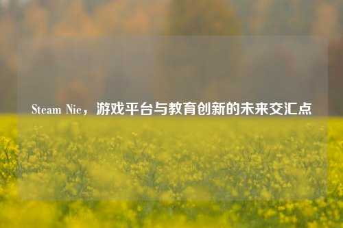 Steam Nie，游戏平台与教育创新的未来交汇点