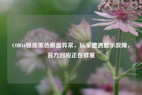 COD16惊现黑色画面异常，玩家遭遇显示故障，官方回应正在修复