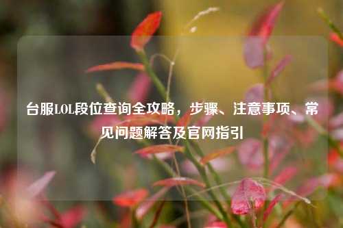 台服LOL段位查询全攻略，步骤、注意事项、常见问题解答及官网指引