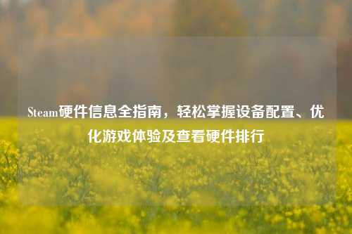 Steam硬件信息全指南，轻松掌握设备配置、优化游戏体验及查看硬件排行