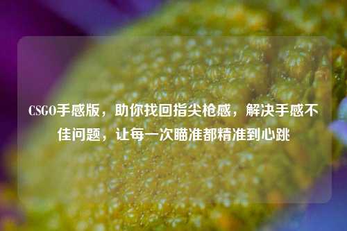 CSGO手感版，助你找回指尖枪感，解决手感不佳问题，让每一次瞄准都精准到心跳