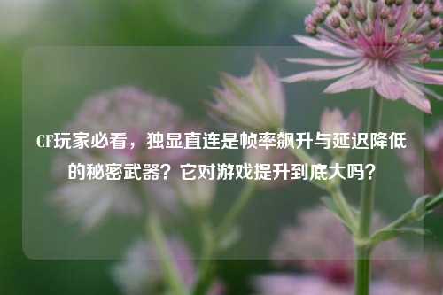 CF玩家必看，独显直连是帧率飙升与延迟降低的秘密武器？它对游戏提升到底大吗？