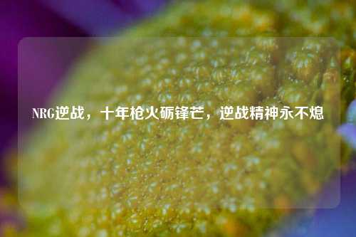 NRG逆战，十年枪火砺锋芒，逆战精神永不熄