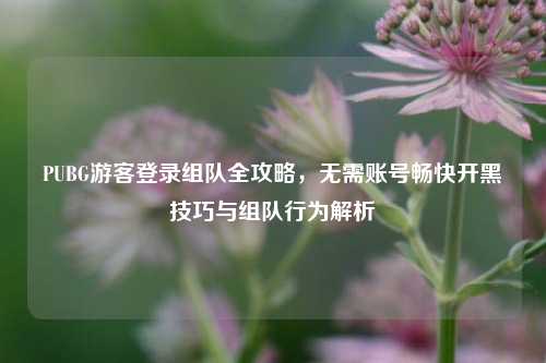 PUBG游客登录组队全攻略，无需账号畅快开黑技巧与组队行为解析