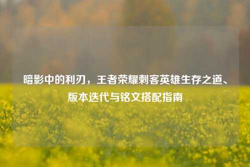 暗影中的利刃，王者荣耀刺客英雄生存之道、版本迭代与铭文搭配指南