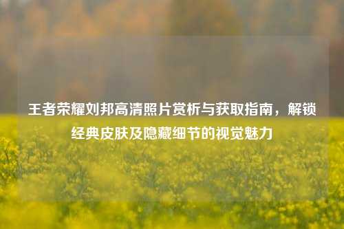 王者荣耀刘邦高清照片赏析与获取指南，解锁经典皮肤及隐藏细节的视觉魅力