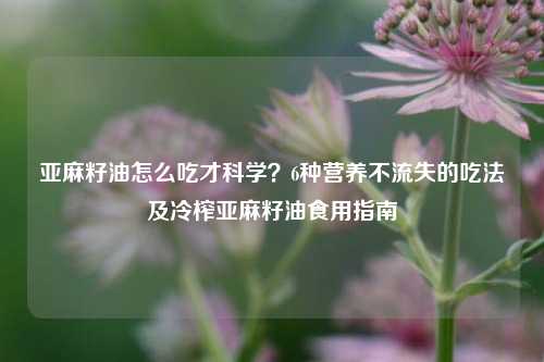 亚麻籽油怎么吃才科学？6种营养不流失的吃法及冷榨亚麻籽油食用指南