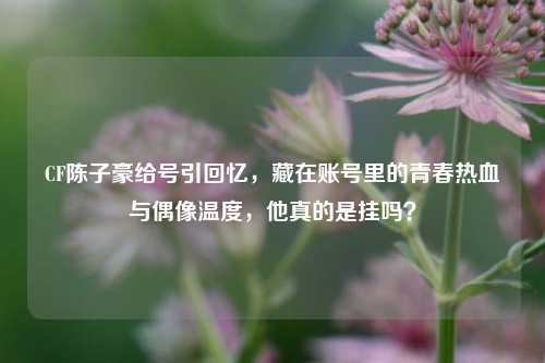 CF陈子豪给号引回忆，藏在账号里的青春热血与偶像温度，他真的是挂吗？