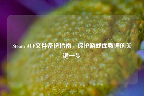 Steam ACF文件备份指南，保护游戏库数据的关键一步