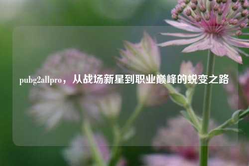 pubg2allpro，从战场新星到职业巅峰的蜕变之路