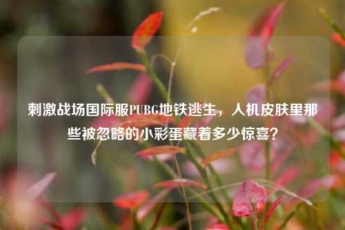  *** 战场国际服PUBG地铁逃生，人机皮肤里那些被忽略的小彩蛋藏着多少惊喜？