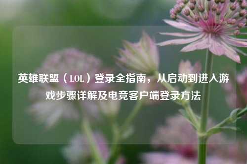 英雄联盟（LOL）登录全指南，从启动到进入游戏步骤详解及电竞客户端登录 *** 