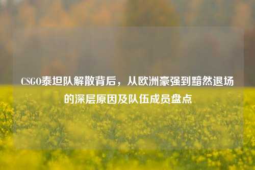 CSGO泰坦队解散背后，从欧洲豪强到黯然退场的深层原因及队伍成员盘点