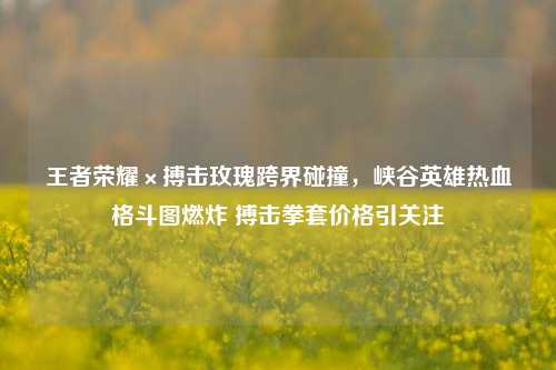 王者荣耀×搏击玫瑰跨界碰撞，峡谷英雄热血格斗图燃炸 搏击拳套价格引关注