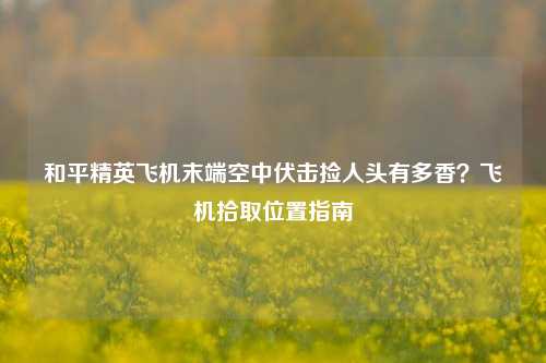 和平精英飞机末端空中伏击捡人头有多香？飞机拾取位置指南