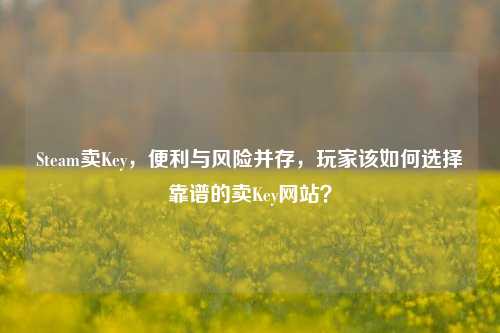 Steam卖Key，便利与风险并存，玩家该如何选择靠谱的卖Key网站？