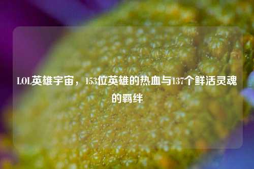 LOL英雄宇宙，153位英雄的热血与137个鲜活灵魂的羁绊