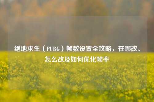 绝地求生（PUBG）帧数设置全攻略，在哪改、怎么改及如何优化帧率