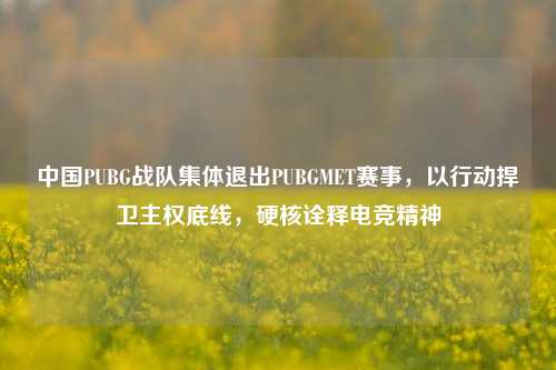 中国PUBG战队集体退出PUBGMET赛事，以行动捍卫 *** 底线，硬核诠释电竞精神