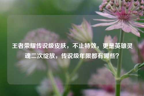 王者荣耀传说级皮肤，不止特效，更是英雄灵魂二次绽放，传说级年限都有哪些？