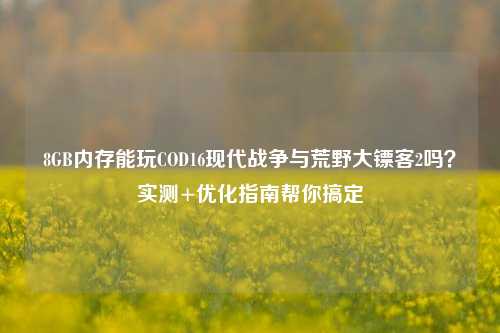 8GB内存能玩COD16现代战争与荒野大镖客2吗？实测+优化指南帮你搞定