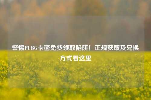 警惕PUBG卡密免费领取陷阱！正规获取及兑换方式看这里