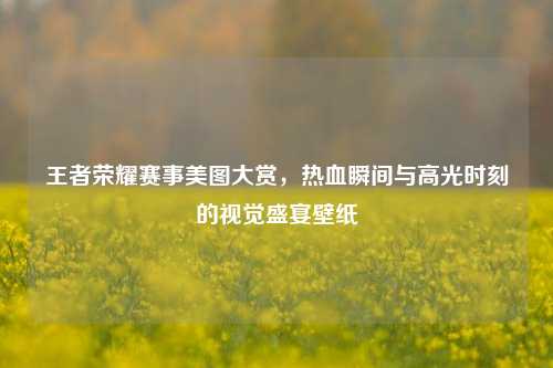 王者荣耀赛事美图大赏，热血瞬间与高光时刻的视觉盛宴壁纸