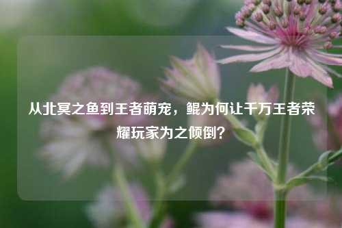 从北冥之鱼到王者萌宠，鲲为何让千万王者荣耀玩家为之倾倒？