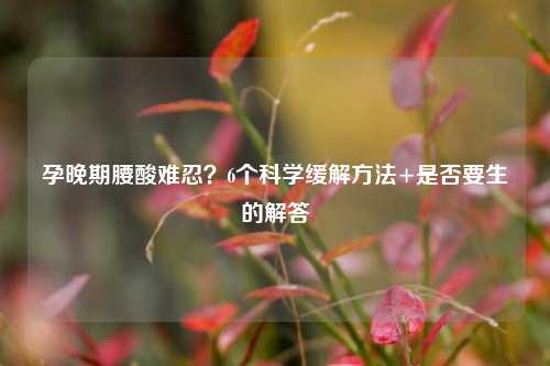 孕晚期腰酸难忍？6个科学缓解 *** +是否要生的解答