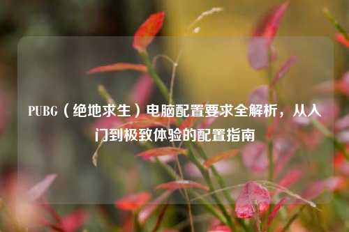 PUBG（绝地求生）电脑配置要求全解析，从入门到极致体验的配置指南