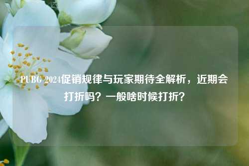 PUBG 2024促销规律与玩家期待全解析，近期会打折吗？一般啥时候打折？