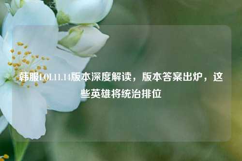 韩服LOL11.14版本深度解读，版本答案出炉，这些英雄将统治排位