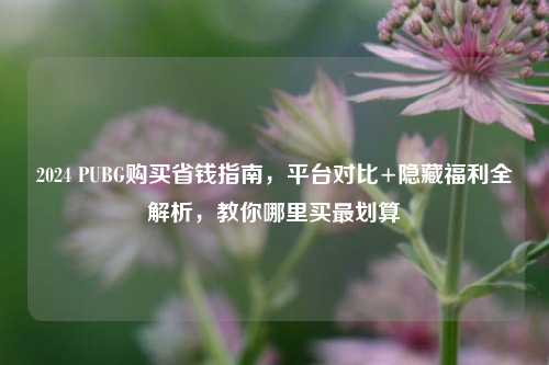 2024 PUBG购买省钱指南，平台对比+隐藏福利全解析，教你哪里买最划算