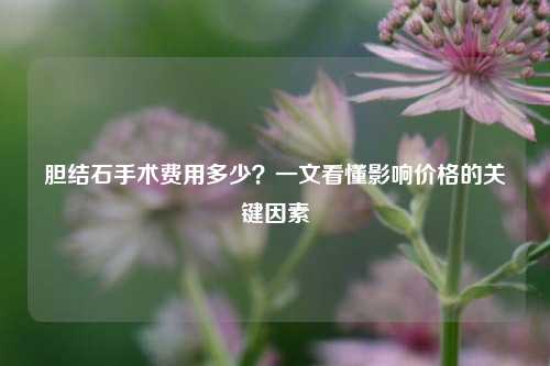 胆结石手术费用多少？一文看懂影响价格的关键因素