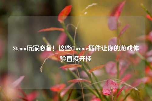 Steam玩家必备！这些Chrome插件让你的游戏体验直接开挂